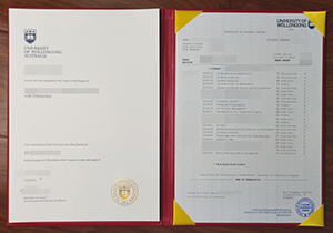University of Wollongong degree