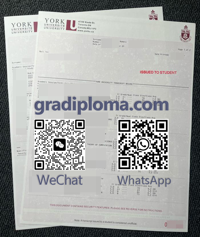 York University transcript