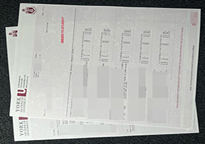 York University transcript copy
