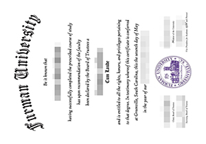 Furman University degree