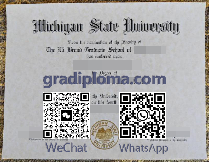 Michigan State University degree