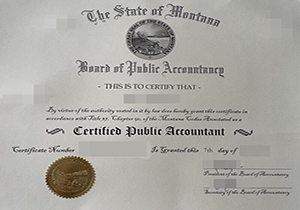 Montana CPA certificate