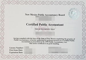New Mexico CPA certificate