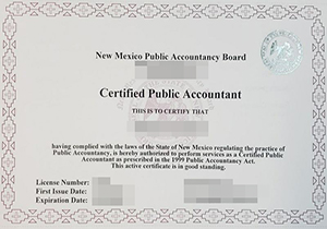 New Mexico CPA certificate
