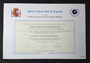 Universidad de Málaga diploma