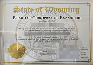 Wyoming CPA certificate