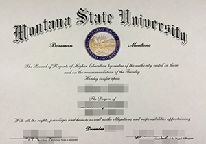 Montana State University degree-1