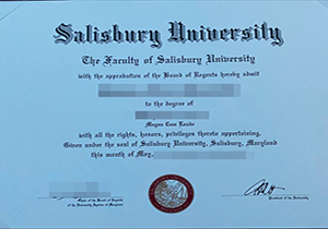Salisbury University degree-1