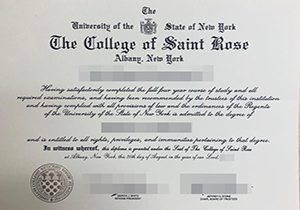 The college of saint rose degree-1