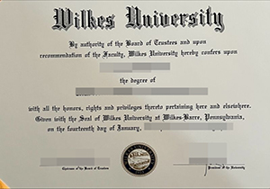 Wilkes University degree-1