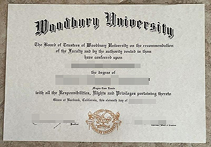 Woodbury University degree-1