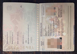 Italiana Passport-1