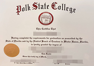 Polk State College degree-1
