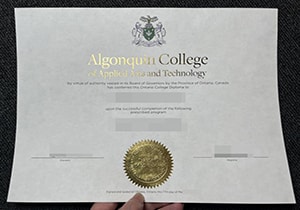 Algonquin College degree-1