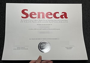 Seneca College degree-1