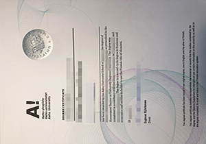 Aalto University diploma