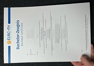 Europäische Fernhochschule Hamburg diploma-1