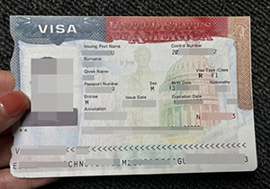 USA VISA Sticker-1