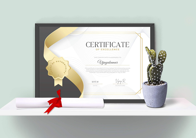 buy fake certificate copy