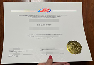 SAIT degree-1