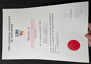 fake NUS diplomas copy