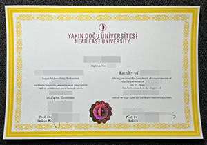 Yakın Doğu Üniversitesi diploma-1