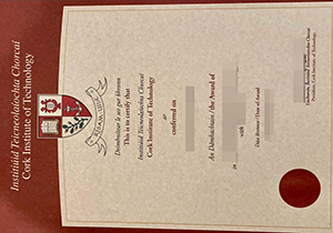 Cork Institute of Technology degree-1