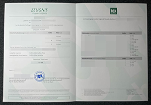 FOM Zeugnis copy