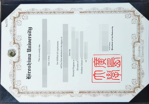 Hiroshima University diploma-1