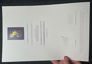 Thames Valley University diploma-1
