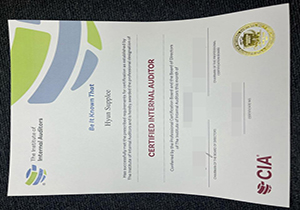 CIA Certificate-1