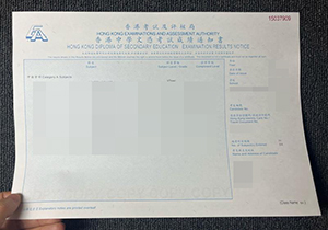 DSE Transcript-1