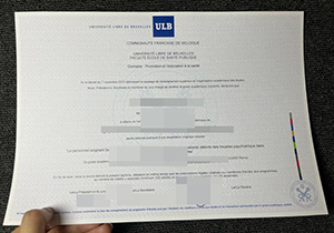ULB diploma-1