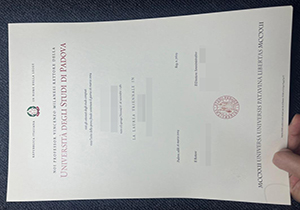 UniPd diploma-1