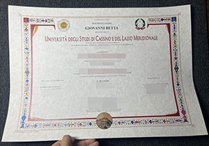 Unicas diploma-1