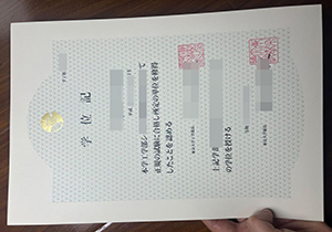 University of Tokyo diploma-1