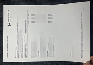 Birmingham City University transcript-1