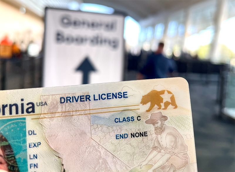 How to get a fake California Driver's License