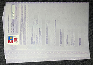 KTU diploma supplement-1