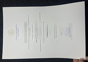 Lund University diploma-1