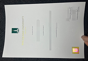 Macquarie University diploma-1