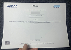Odisee de co-hogeschool diploma-1