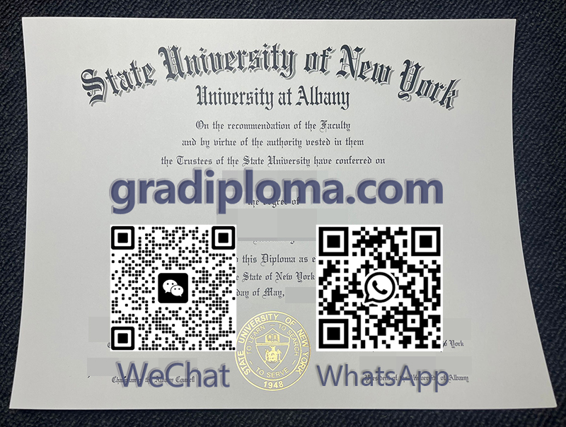 SUNY Albany diploma