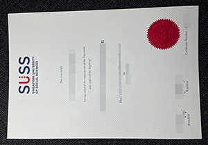 SUSS diploma-1