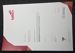 TAFE SA Certificate-1