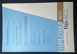 Technische Universiteit Eindhoven diploma-1