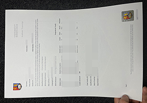 University of Birmingham transcript-1