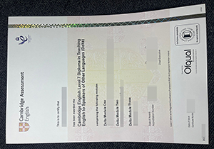 Cambridge DELTA Certificate-1