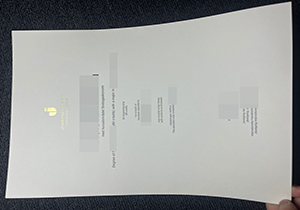 Jönköping University diploma-1