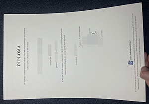 Leidse Onderwijs Instellingen Certificate-1